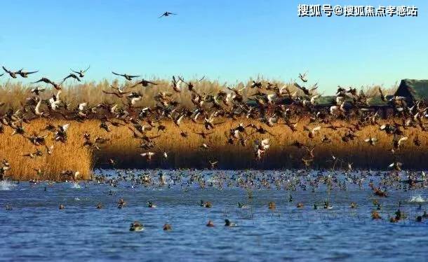 揽海果岭小院)网站--上海房天下麻将胡了2025揽海果岭小院(