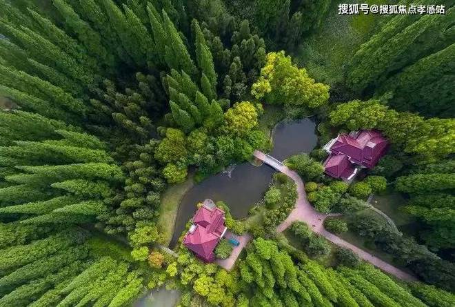 揽海果岭小院)网站--上海房天下麻将胡了2025揽海果岭小院((图8)